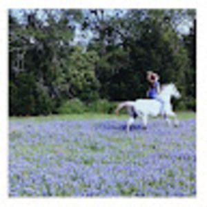 Meet your Posher, Lindy